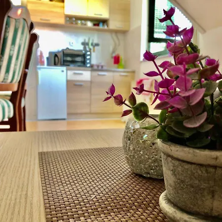 Apartment Zlatno Brdo *