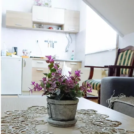 Zlatno Brdo Zlatibor