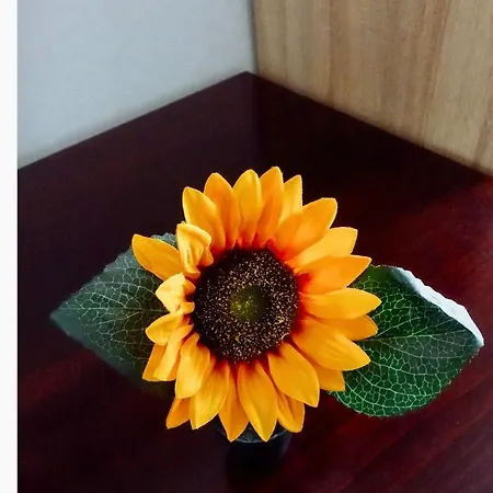 Zlatno Brdo * Zlatibor