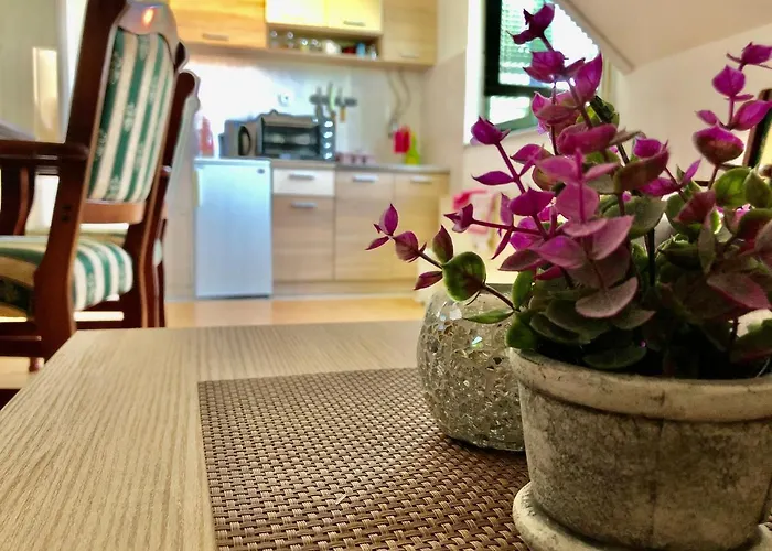 Apartman Zlatno Brdo *