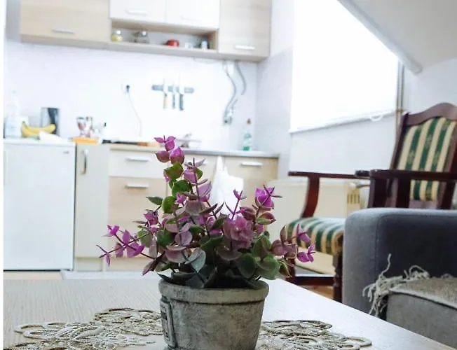 Zlatno Brdo Zlatibor